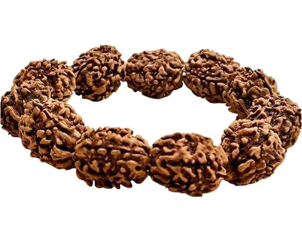 A_S_Ventures_3_Mukhi_Rudraksha_Bracelet_For_Men_Women_Natural_3_Face_Rudraksha_Beads_Bracelet_Spiritual_Healing_Bracelet_For_Confidence_Stress_Relief_Positive_Energy