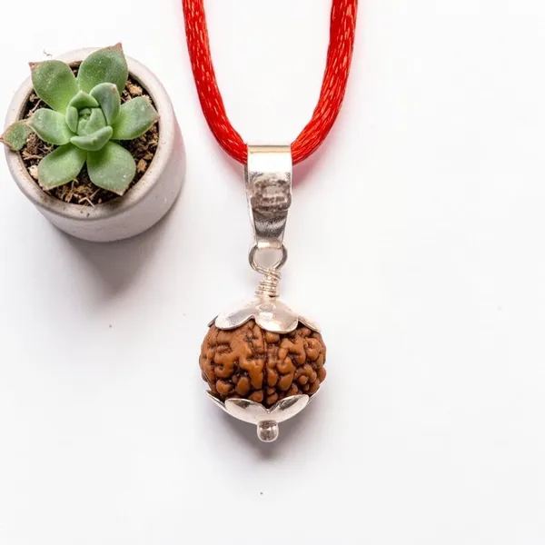 A_S_Ventures_12_Mukhi_Rudraksha_With_Silver_Capping_Original_Certified_12_Face_Bead_Energized_Blessed_Surya_Rudraksha_For_Confidence_Leadership_Success_Protection