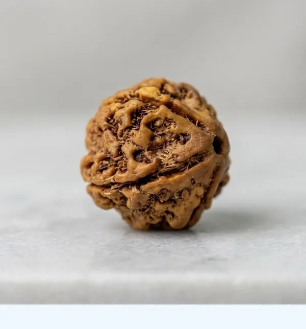 A_S_Ventures_5_Mukhi_Rudraksha_Original_Certified_Only_For_Peace_Protection_Meditation_Spiritual_Growth_Unisex_Sacred_Rudraksha