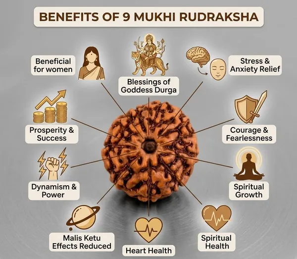 A_S_Ventures_Certified_Original_9_Mukhi_Rudraksha_Bead_Nine_Face_Natural_Rudraksha_Blessed_By_Goddess_Durga_For_Power_Protection_Courage_Success