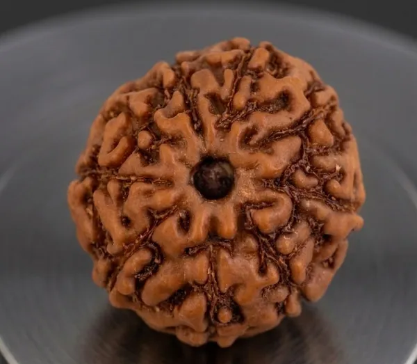 A_S_Ventures_Certified_Original_9_Mukhi_Rudraksha_Bead_Nine_Face_Natural_Rudraksha_Blessed_By_Goddess_Durga_For_Power_Protection_Courage_Success
