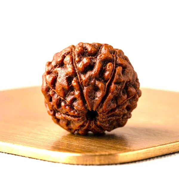 A_S_Ventures_Certified_Original_8_Mukhi_Rudraksha_Bead_Eight_Face_Natural_Rudraksha_Blessed_By_Lord_Ganesha_For_Removing_Obstacles_Attracting_Wealth_Success_Wisdom_Positive_Energy