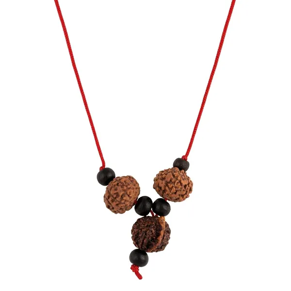 A_S_Ventures_Business_Growth_Kawach_With_Natural_7_Mukhi_Rudraksha_And_Ganesh_Rudraksha_Sacred_Spiritual_Pendant_Necklace_For_Men_Women_Entrepreneurs