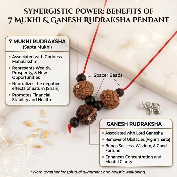 A_S_Ventures_Business_Growth_Kawach_With_Natural_7_Mukhi_Rudraksha_And_Ganesh_Rudraksha_Sacred_Spiritual_Pendant_Necklace_For_Men_Women_Entrepreneurs