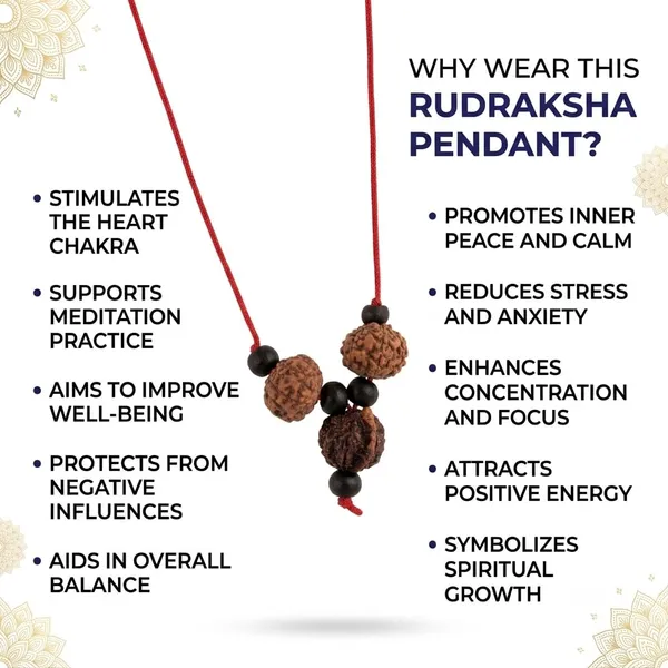 A_S_Ventures_Business_Growth_Kawach_With_Natural_7_Mukhi_Rudraksha_And_Ganesh_Rudraksha_Sacred_Spiritual_Pendant_Necklace_For_Men_Women_Entrepreneurs
