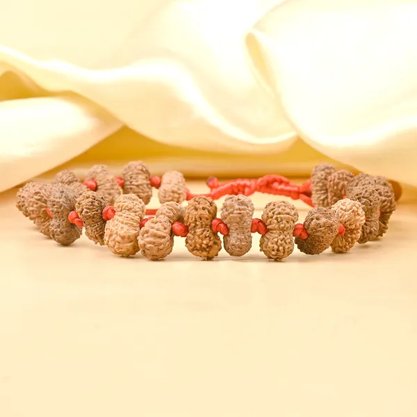 16_Mukhi_Rudraksha_Adjustable_Silk_Thread_Bracelet