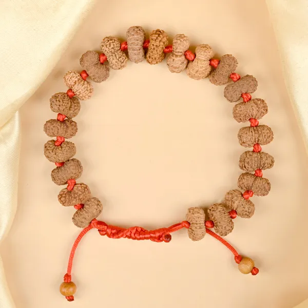 16_Mukhi_Rudraksha_Adjustable_Silk_Thread_Bracelet