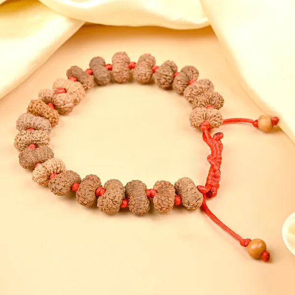 16_Mukhi_Rudraksha_Adjustable_Silk_Thread_Bracelet