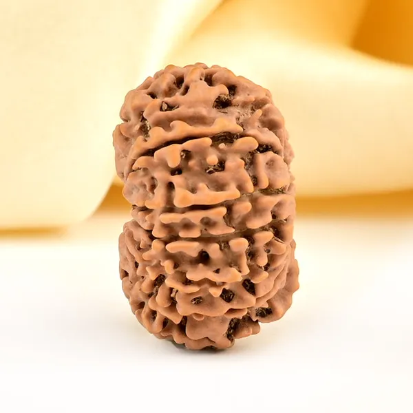 Techpandit_13_Mukhi_Rudraksha_Bead_Nepal_Origin