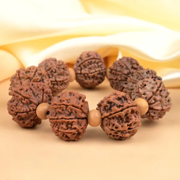 Brown_Rudraksha_10_Mukhi_White_Sandalwood_Bracelet