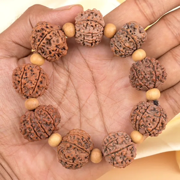 Brown_Rudraksha_10_Mukhi_White_Sandalwood_Bracelet