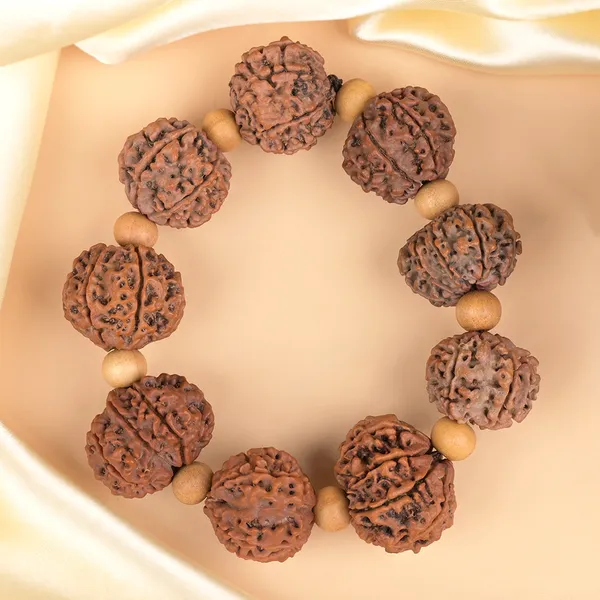 Brown_Rudraksha_10_Mukhi_White_Sandalwood_Bracelet