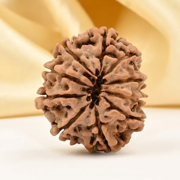 Techpandit_10_Mukhi_Nepal_Rudraksha_Bead