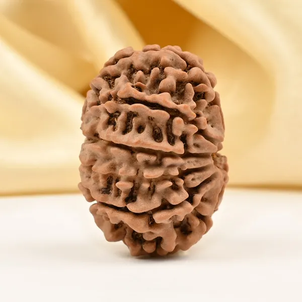 Techpandit_10_Mukhi_Nepal_Rudraksha_Bead