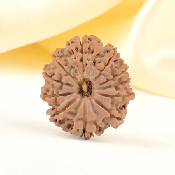 Techpandit_11_Mukhi_Rudraksha_Bead_Nepal_Origin