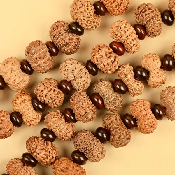 13_Mukhi_Rudraksha_Red_Sandalwood_Elliptical_Mala