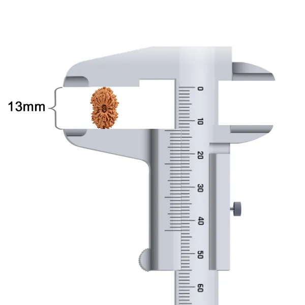 Techpandit_16_Mukhi_Rudraksha_Bead_Indonesia_Small