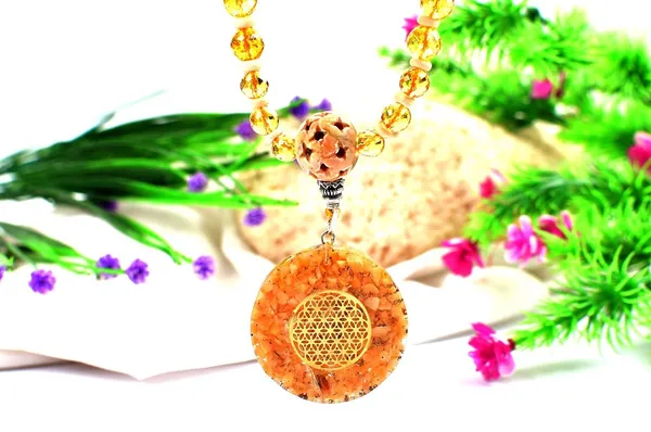 12_Mukhi_Rudraksha_And_Citrine_Mala
