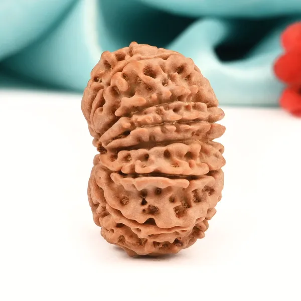 Techpandit_13_Mukhi_Nepal_Brown_Rudraksha_Bead