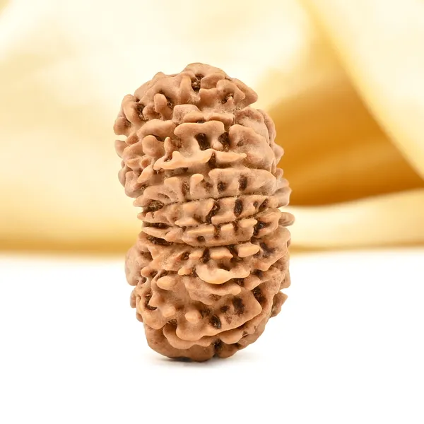 15_Mukhi_Rudraksha_Bead_From_Nepal_Small