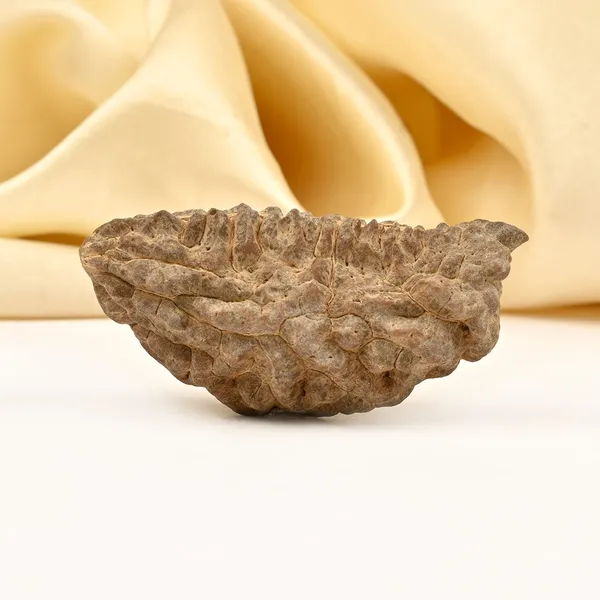 1_Mukhi_Half_Moon_Large_Xviii