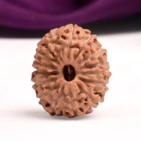 15_Mukhi_Java_Rudraksha_Bead_For_Emotional_Balance