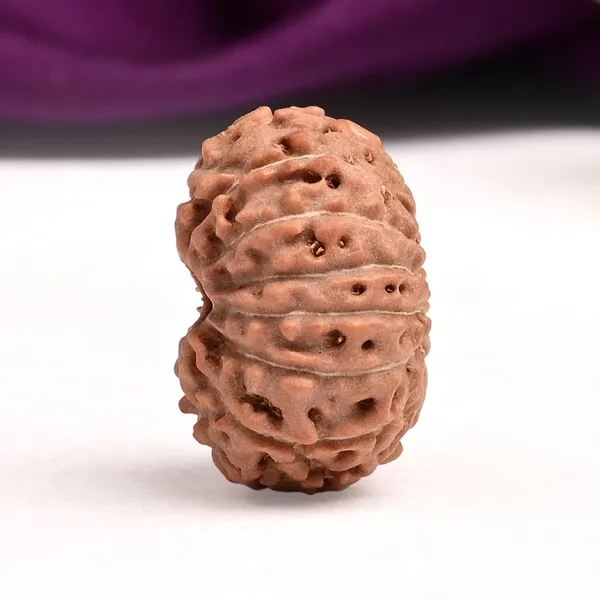 15_Mukhi_Java_Rudraksha_Bead_For_Emotional_Balance