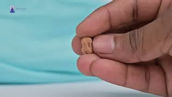 Techpandit_19_Mukhi_Rudraksha_Bead_Indonesia