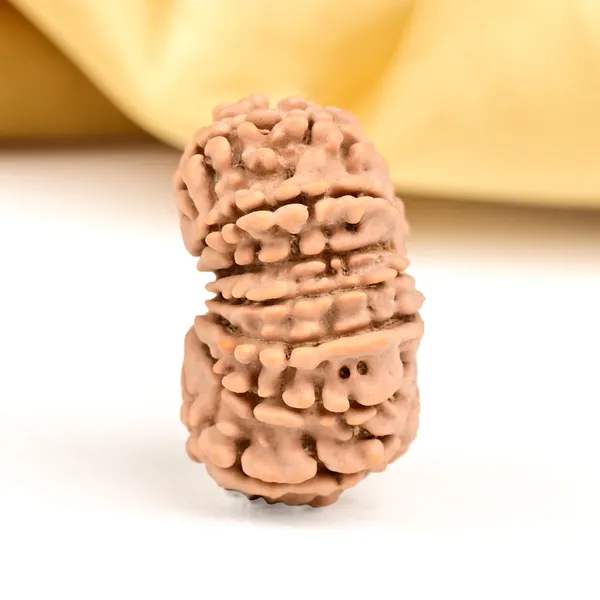 Techpandit_15_Mukhi_Nepal_Rudraksha_Bead