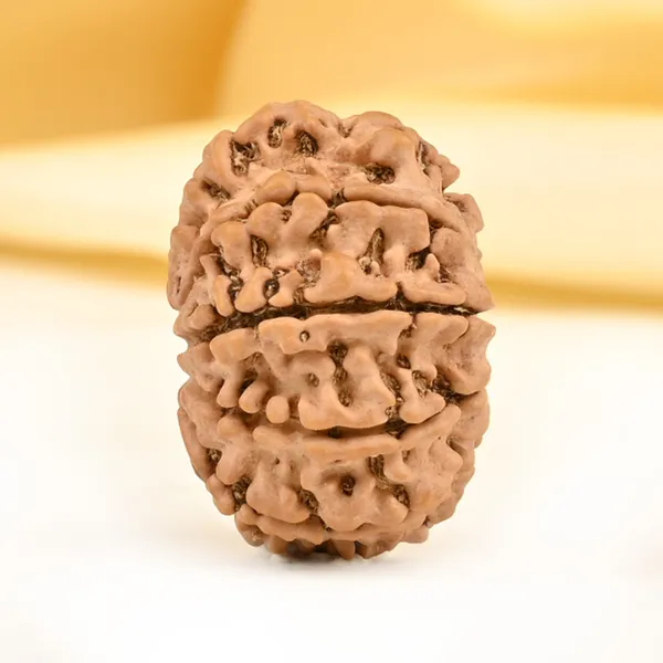 Techpandit_10_Mukhi_Nepal_Rudraksha_Bead