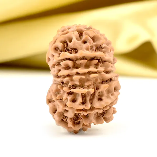 Techpandit_11_Mukhi_Rudraksha_Bead_Nepal_Origin