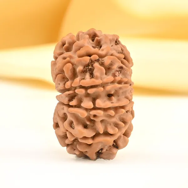 Techpandit_10_Mukhi_Nepal_Rudraksha_Bead
