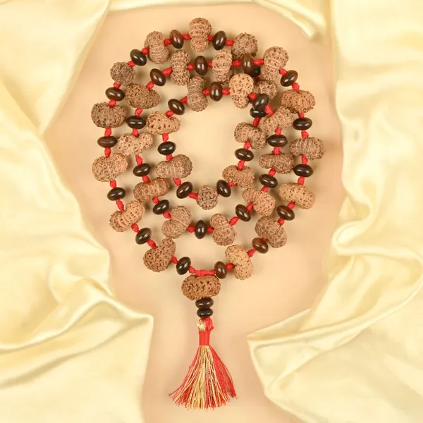 14_Mukhi_X_Red_Sandal_Elliptical_Bead_Mala