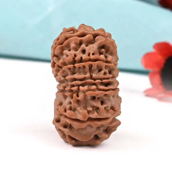 Techpandit_13_Mukhi_Nepal_Rudraksha_Bead
