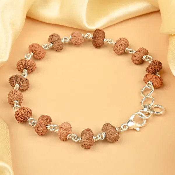 14_Mukhi_Rudraksha_925_Silver_Wire_Bracelet