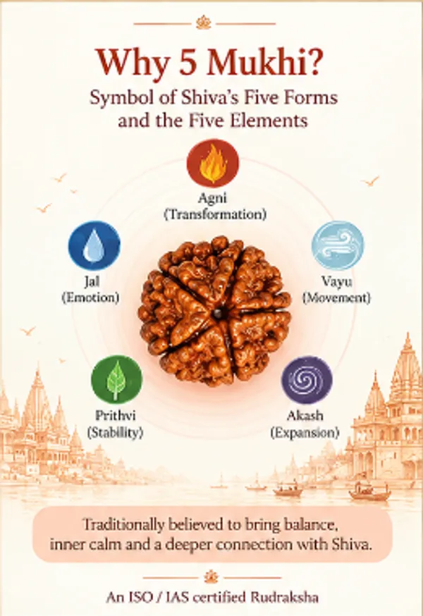 Panchmukhi_Rudraksha_Jaap_Mala_108+1_Beads_Original_Abhi_Mantrit_by_Pandit_Ji_(Purity_Certificate_Included)_for_Jap,_Meditation_&_Daily_Chanting