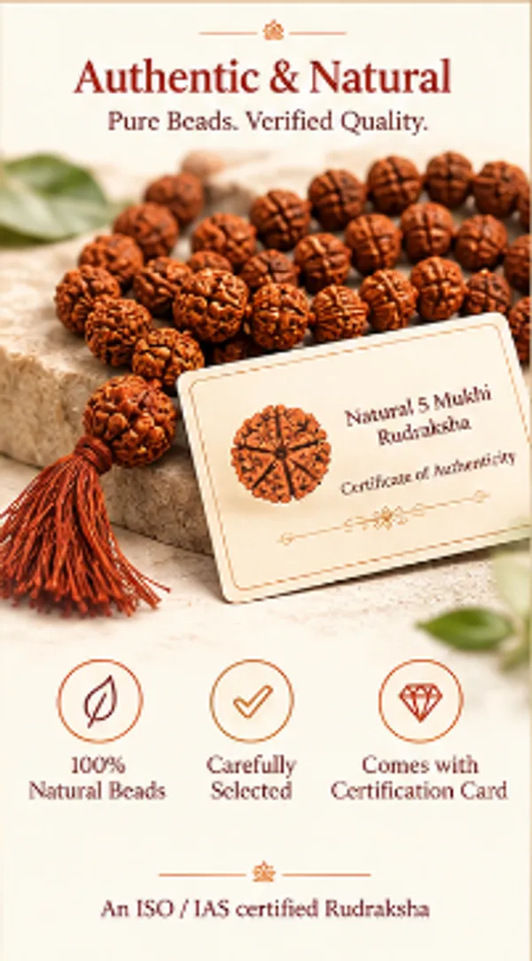 Panchmukhi_Rudraksha_Jaap_Mala_108+1_Beads_Original_Abhi_Mantrit_by_Pandit_Ji_(Purity_Certificate_Included)_for_Jap,_Meditation_&_Daily_Chanting