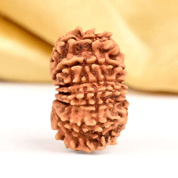 Techpandit_16_Mukhi_Nepali_Rudraksha_Bead_Small