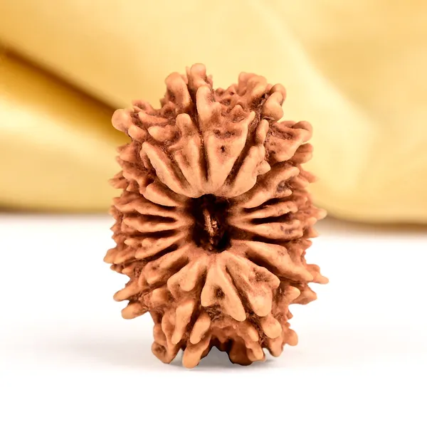 Techpandit_16_Mukhi_Nepali_Rudraksha_Bead_Small