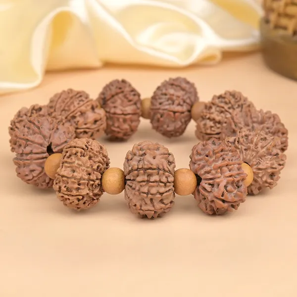 11_Mukhi_Nepali_Rudraksha_White_Sandalwood_Adjustable_Bracelet