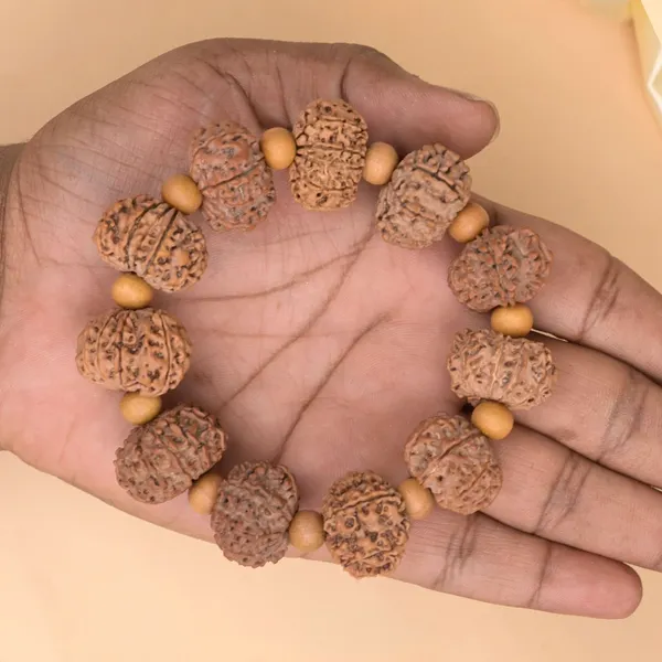 11_Mukhi_Nepali_Rudraksha_White_Sandalwood_Adjustable_Bracelet