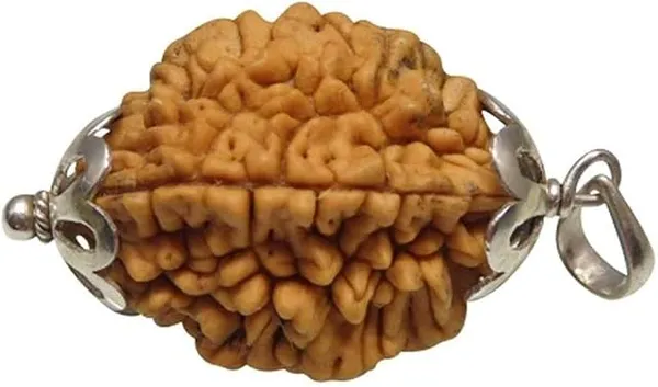 2_Mukhi_Indian_Rudraksha_Silver_Pendant