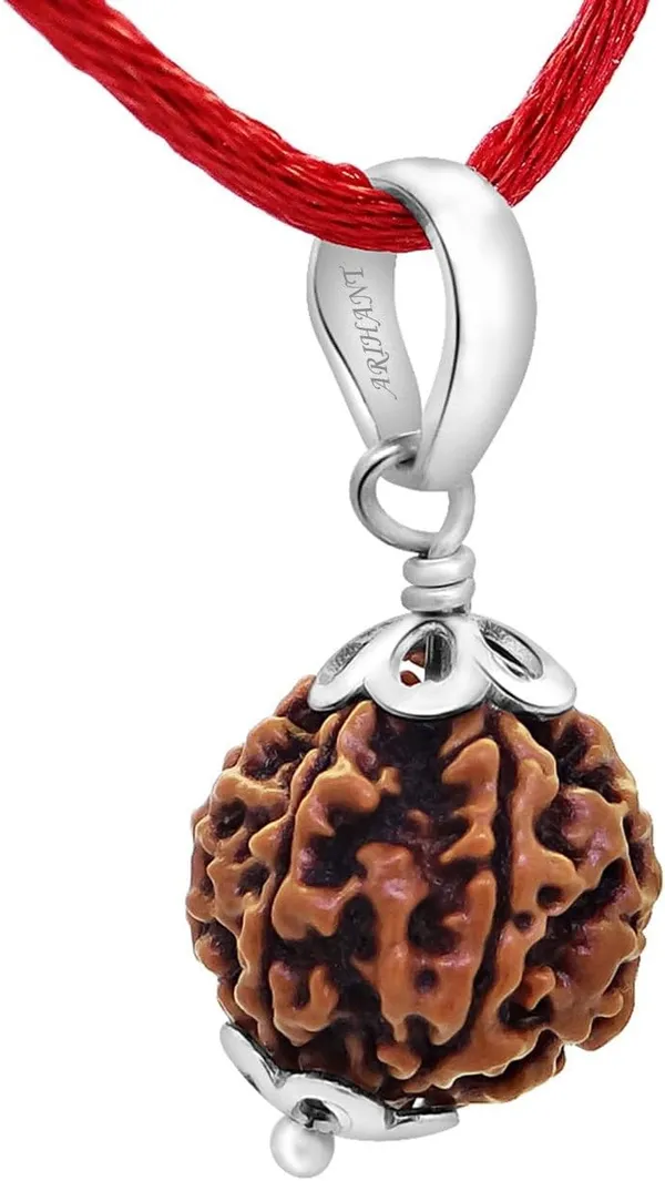 6_Mukhi_Nepali_Rudraksha_Silver_Pendant