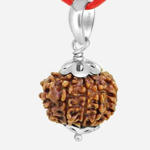 10_Mukhi_Rudraksha_Pendant
