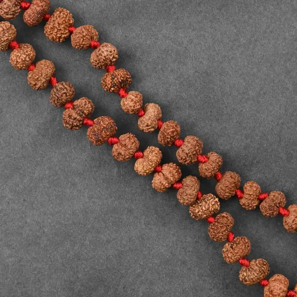 12_Mukhi_Rudraksha_Surya_Radiance_Mala_With_Silver_Locket