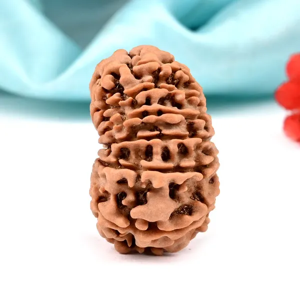 Techpandit_13_Mukhi_Nepal_Rudraksha_Bead