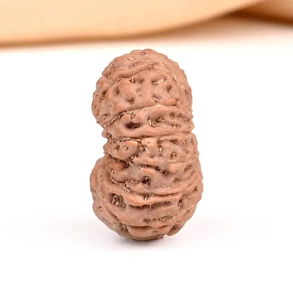 15_Mukhi_Java_Rudraksha_Bead_For_Emotional_Balance