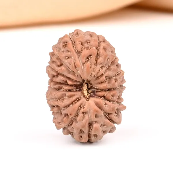 15_Mukhi_Java_Rudraksha_Bead_For_Emotional_Balance
