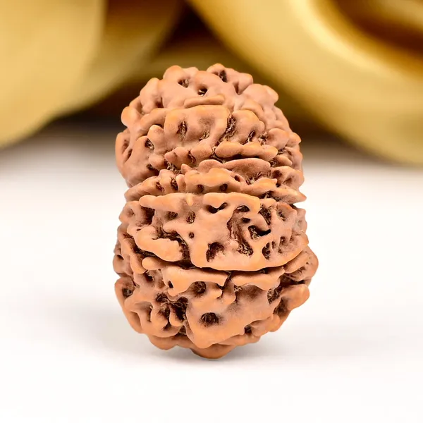 Techpandit_11_Mukhi_Nepal_Rudraksha_Bead