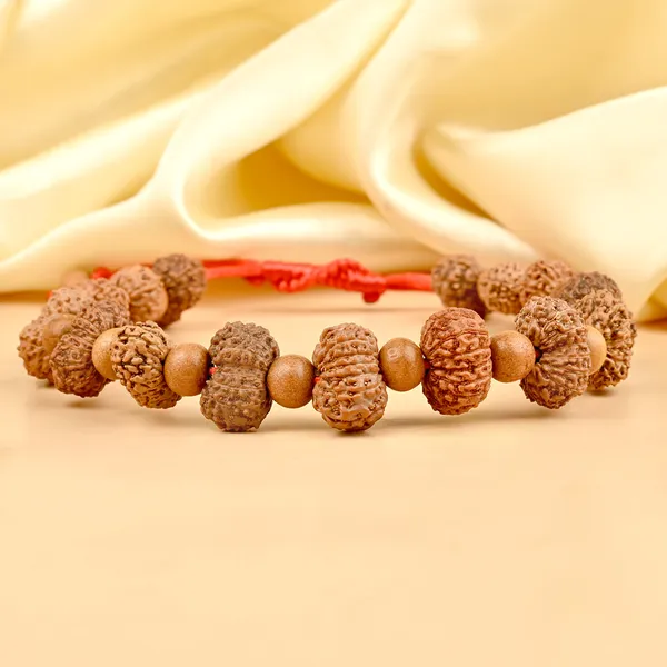 15_Mukhi_Rudraksha_X_White_Sandalwood_Adjustable_Bracelet